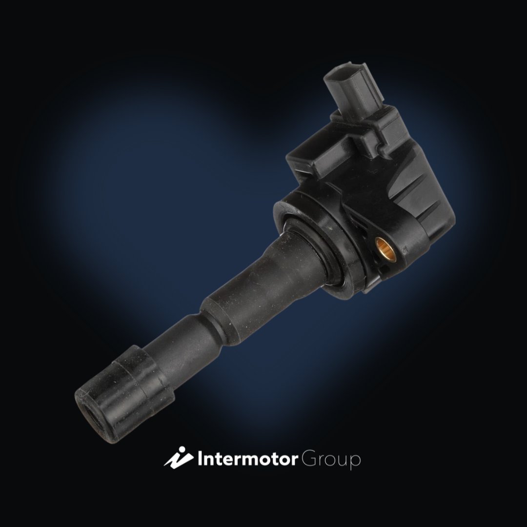 Genuine Intermotor (@Intermotor) / Posts / X