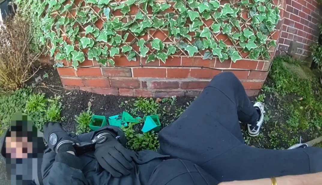 Project Guardian Team WMP tweet media