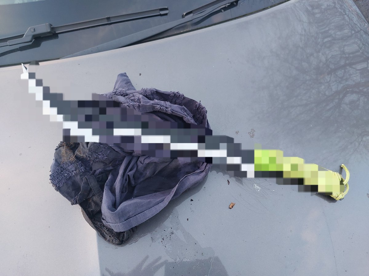 Project Guardian Team WMP tweet media