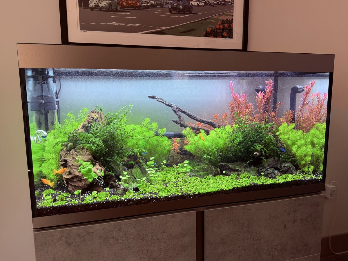 J Δ M Σ S tweet media