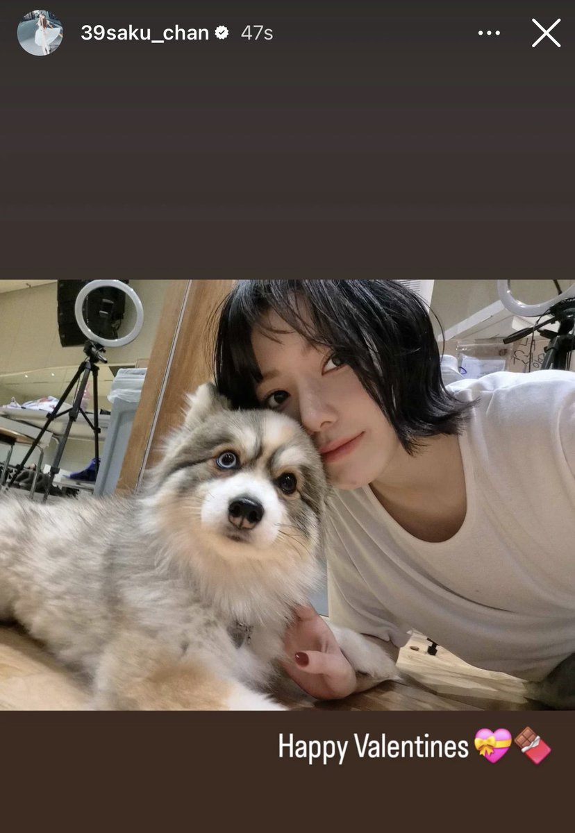 ชั้นร้องเจี๊ยกเป็นลิงเลย พี่สาทำดีๆ จีบกันแบบนี้หนูก็เขินเป็นนะ