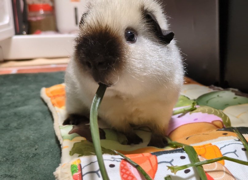 ann(ﾓﾙﾓﾙ) tweet media