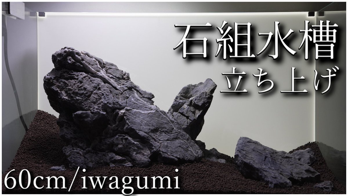 WENT_JP's tweet photo. 動画更新しました⚡️
60cm石組水槽を立ち上げます【龍王石】
▶︎https://t.co/gg8dhc7PMs
#アクアリウム #aquarium #石組 #iwagumi https://t.co/63Zl8ZALfx