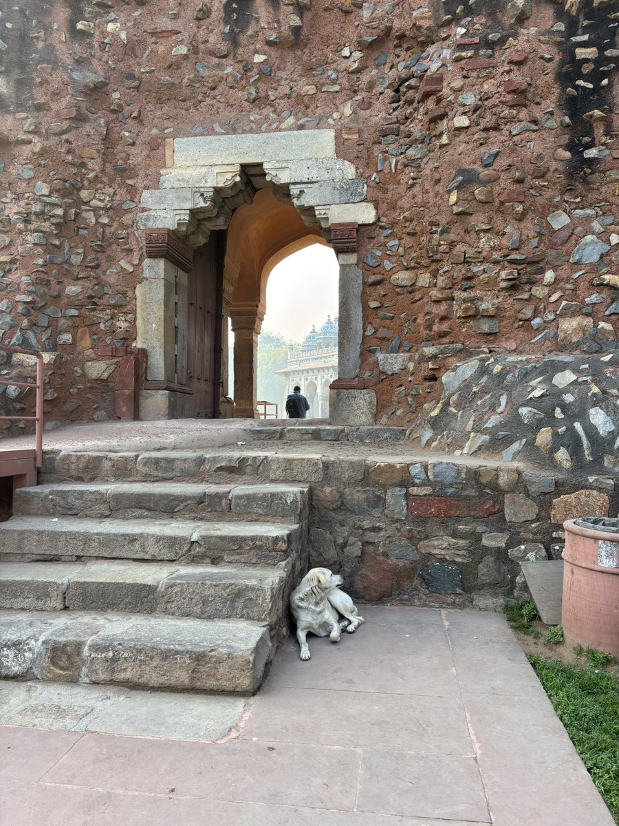 Amaranth_999's tweet photo. インドに行ってきた！🇮🇳
建築美も街（デリー）の無法地帯感も良かったけど、車酔いで自律神経乱れたのか体調崩したことだけが悔やまれる…
日常生活では元気なのに旅行とか出先で熱中症やら気持ち悪くなることが最近多い https://t.co/SjxdcfquxY