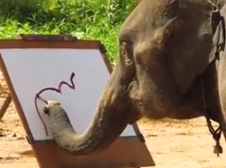 "P-pero la ia es mucho mas facil y aprender a dibujar es difícil"
LE ENSEÑARON A UN PUTO ELEFANTE A COMO PINTAR