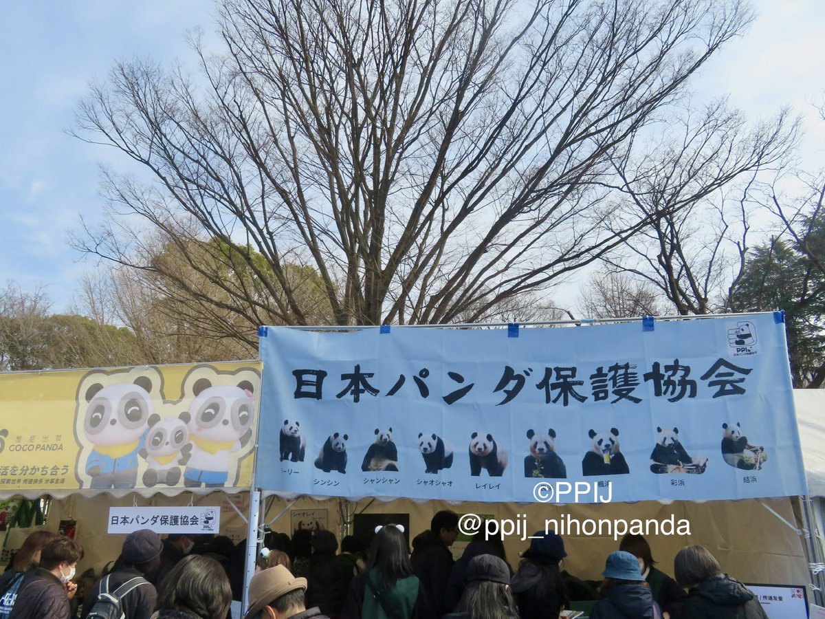 日本パンダ保護協会【公式】 tweet media