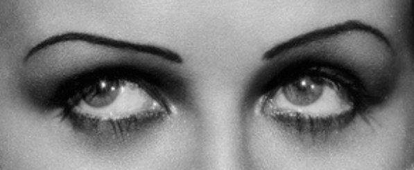 Bufo Calvin tweet media