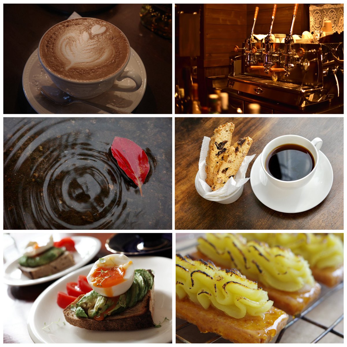 ayesha_tor's tweet photo. 年に一回の固定更新！
嫁と息子とコーヒーとカメラが好きな人です！
最近は食パン焼いたり、蕎麦打ったり、お菓子作ってたりします！
#写真好きな人と繋がりたい #photo #ふぉと #カフェ好きな人と繋がりたい #日常 #photography
#写真で奏でる私の世界
#キリトリセカイ
#ファインダー越しの私の世界 https://t.co/kc7QF2PTKy