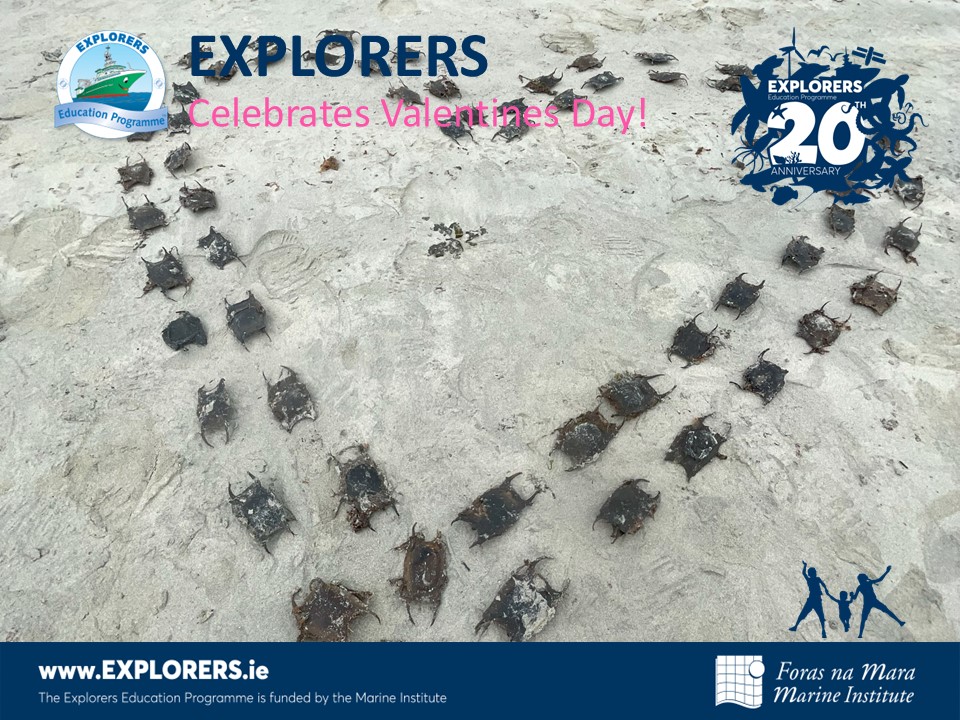 Explorers Education Programme tweet media
