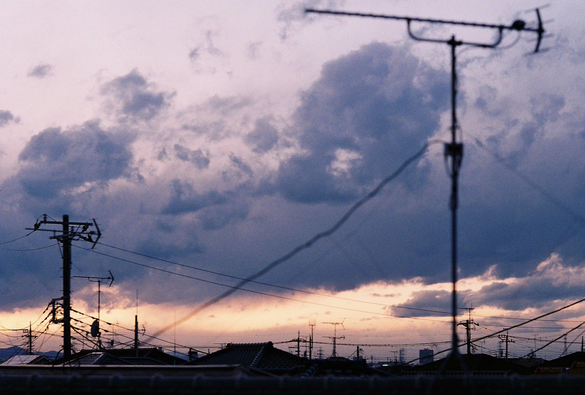 Pond@写真📷️ tweet media