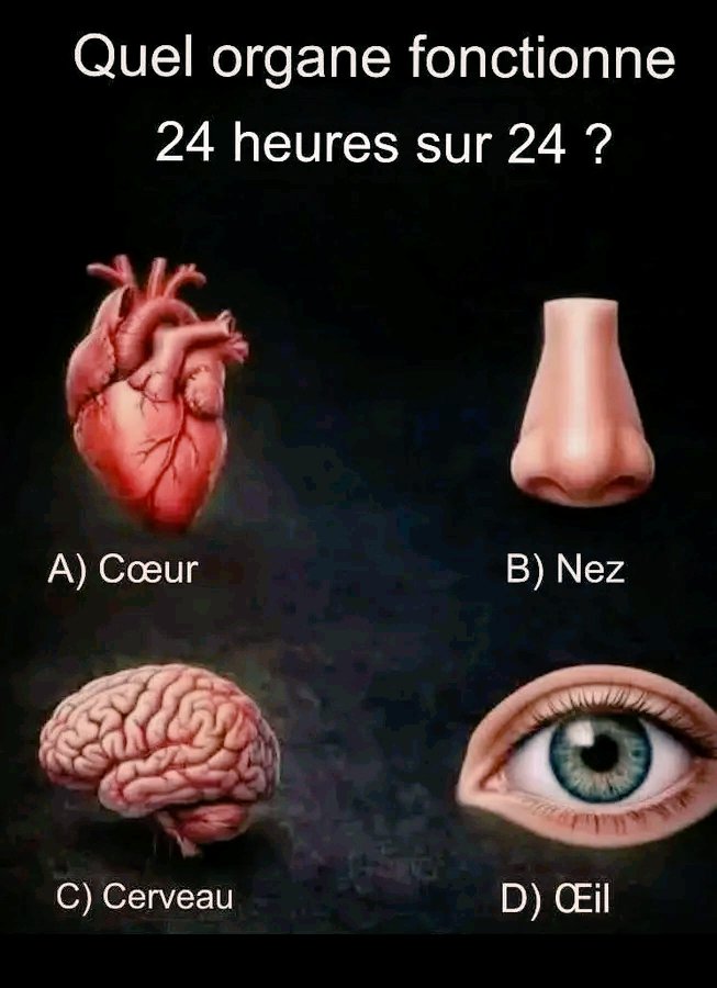 Jacob Shukuru tweet media