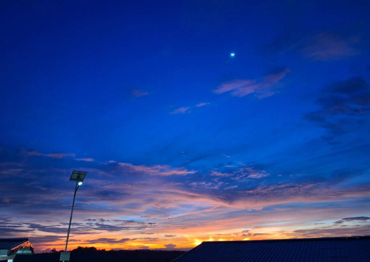 wishyouhell tweet media