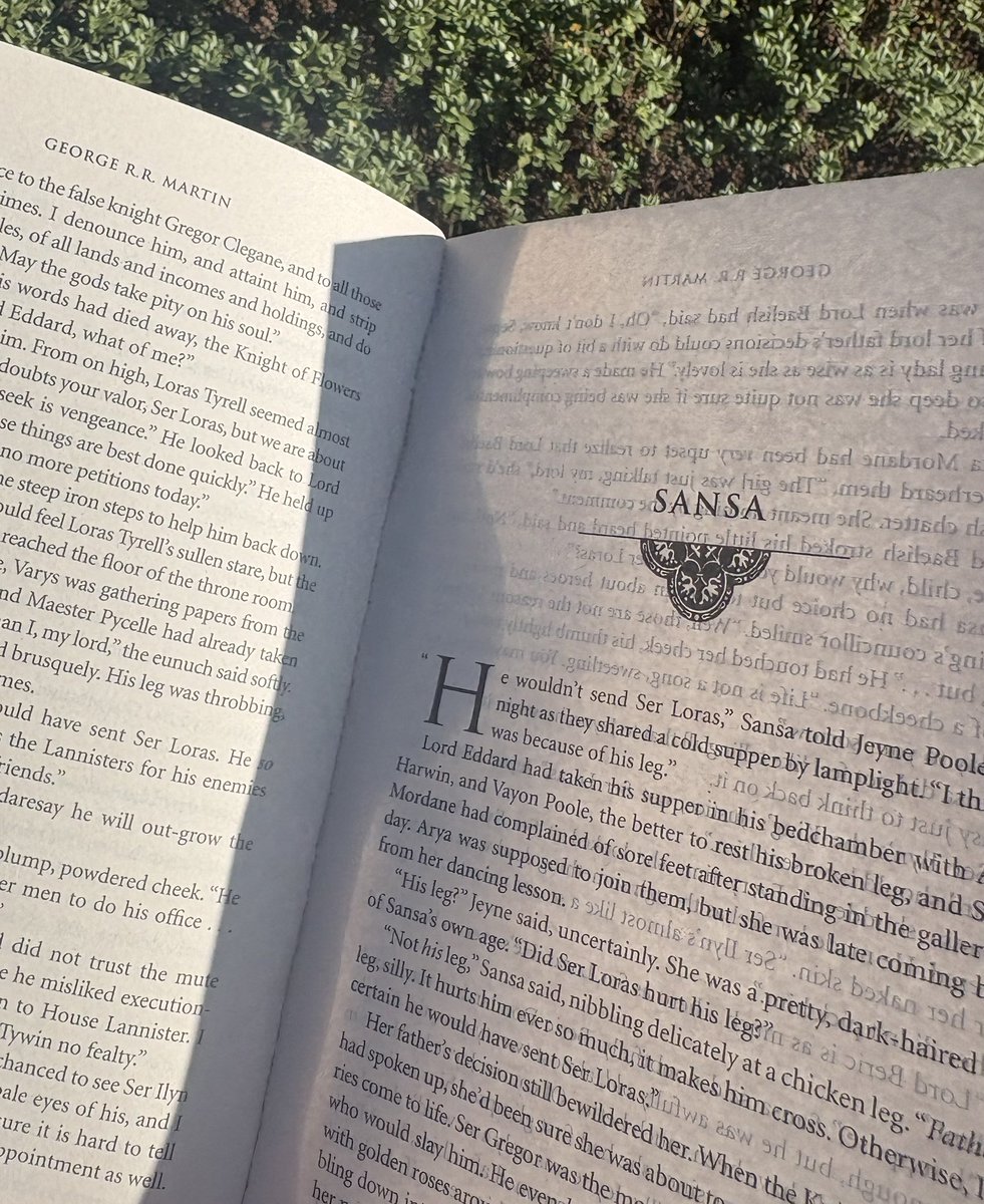 postcokeaverage's tweet photo. the sun came out just as i got to a sansa chapter 💐 https://t.co/w9wUUI8tcq