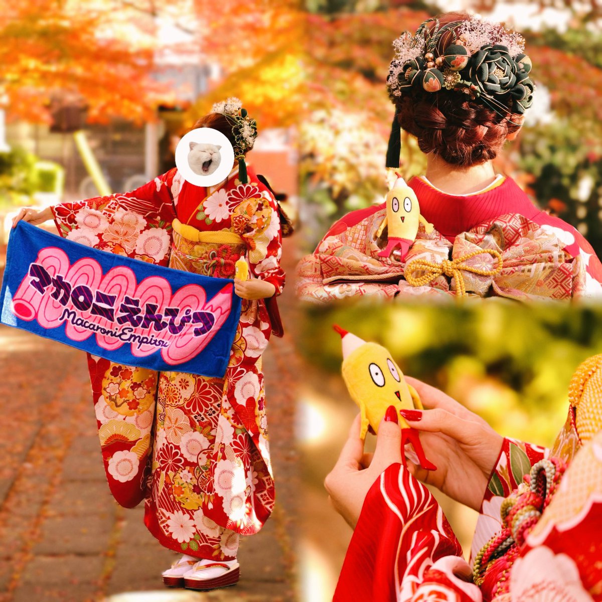 前撮り × 成人式 ⸝⸝ ⭑ だいすきなマカロニえんぴつとの写真を記念に