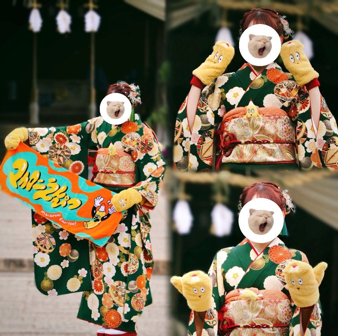 前撮り × 成人式 ⸝⸝ ⭑ だいすきなマカロニえんぴつとの写真を記念に