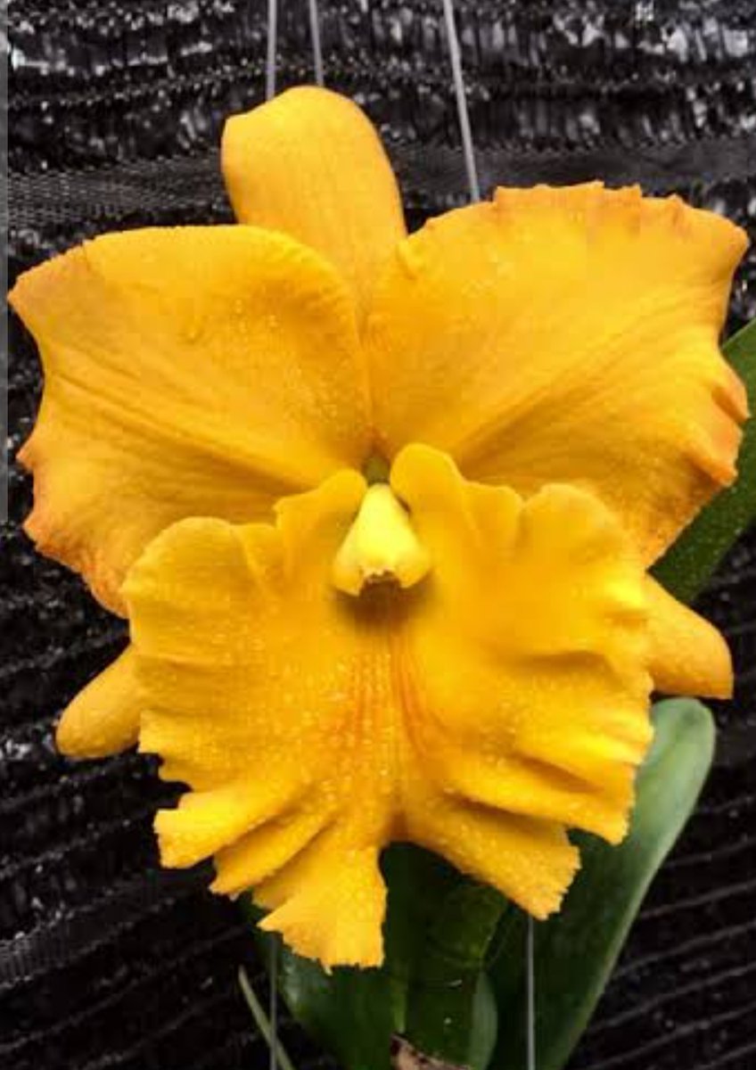 おやすみなさい！(-_-)💤zz