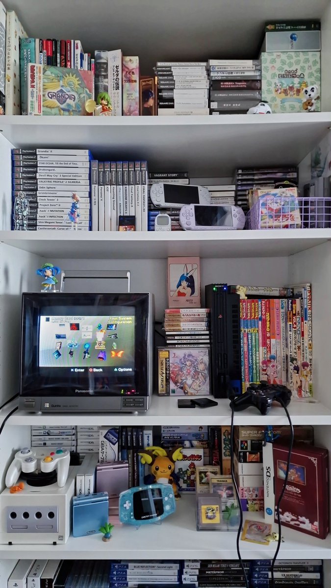 ______K10010 tweet media