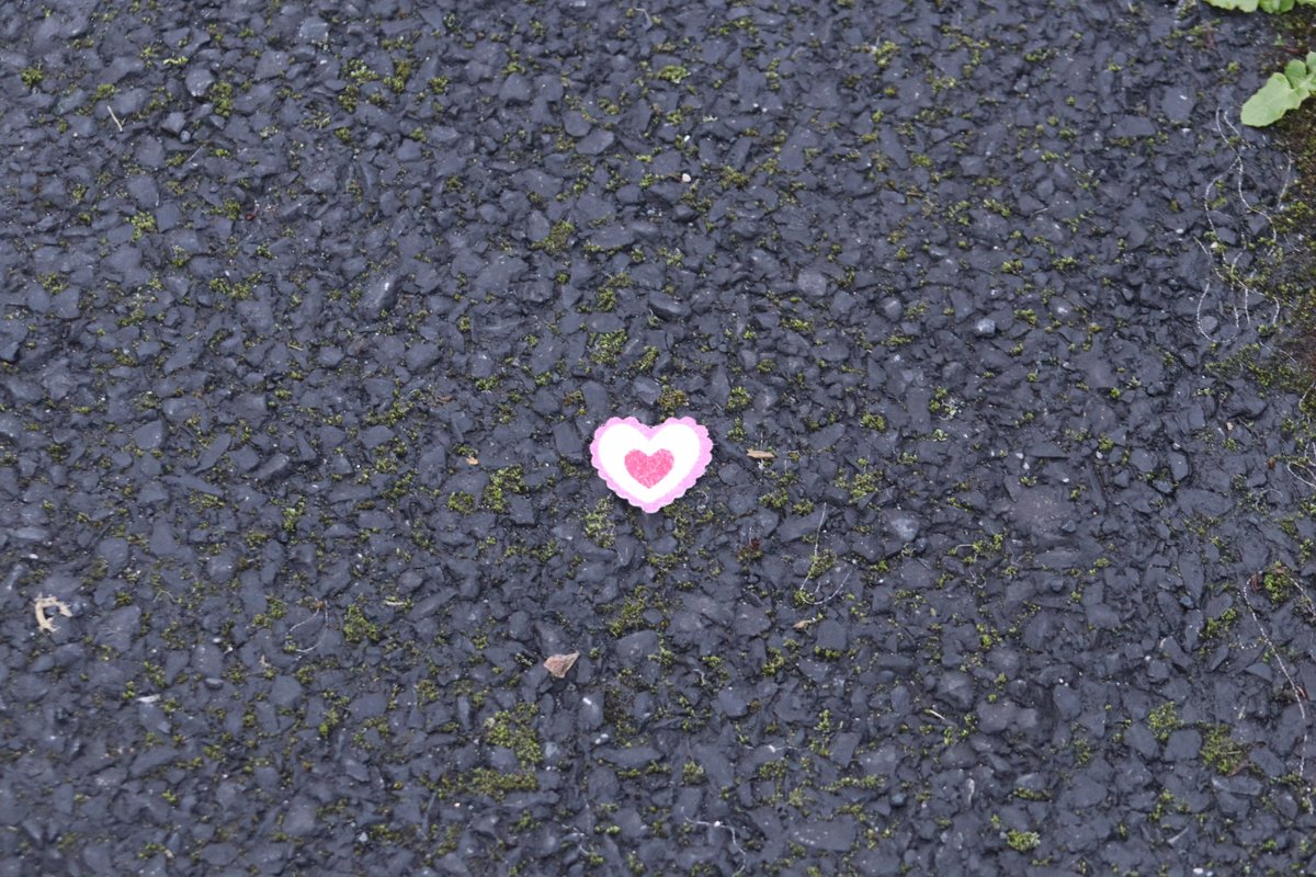 BDuffma's tweet image. #Clare #Burren #100daysofwalking 🟡🔵🖤🤍💚💛  ⚪️⚫️  🥶🥶🥶🙌