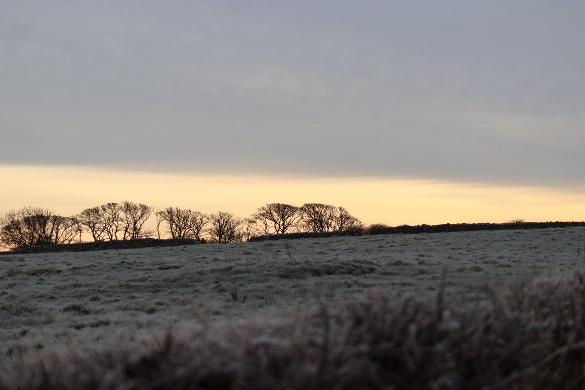 BDuffma's tweet image. #Clare #Burren #100daysofwalking 🟡🔵🖤🤍💚💛  ⚪️⚫️  🥶🥶🥶🙌