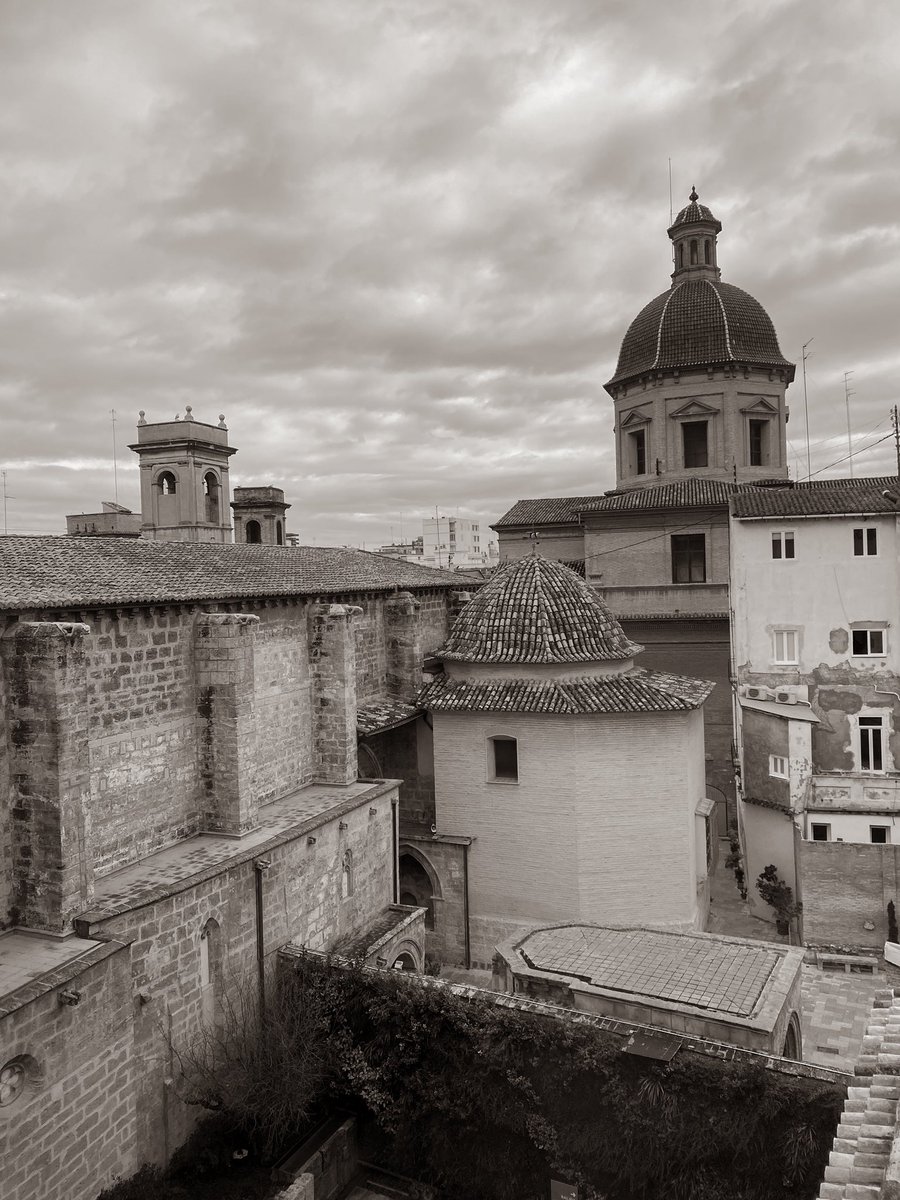 violeta salmerón ✧ tweet media