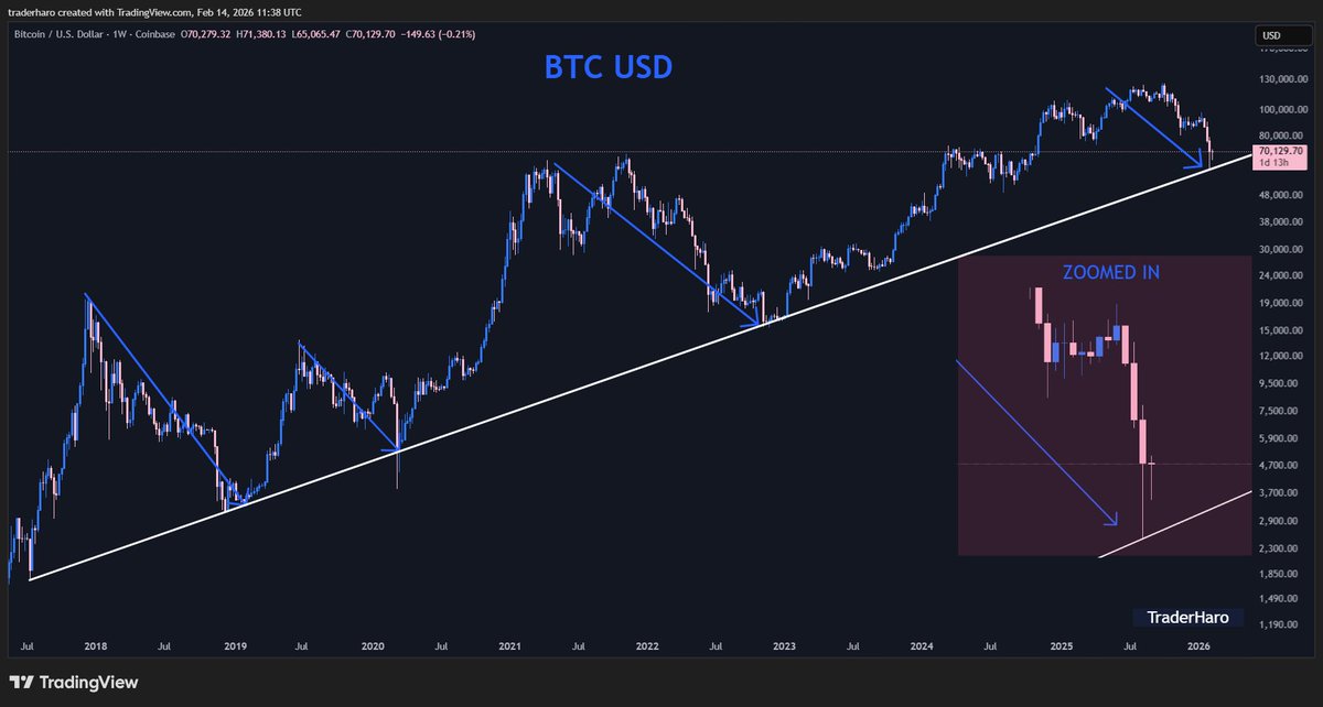 Trader Haro tweet media