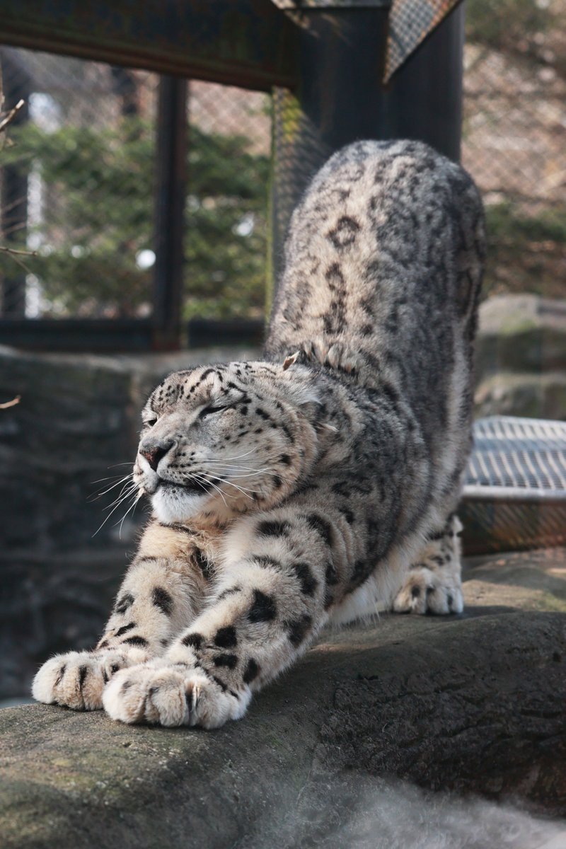 あっけ tweet media