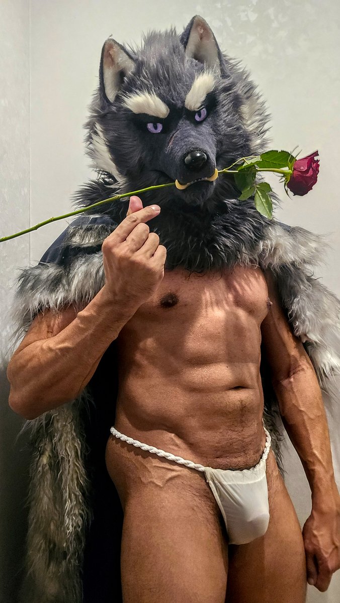 Constrictorz's tweet image. Happy Valentines Day to you all. I paid for this overpriced rose just for this! 😆