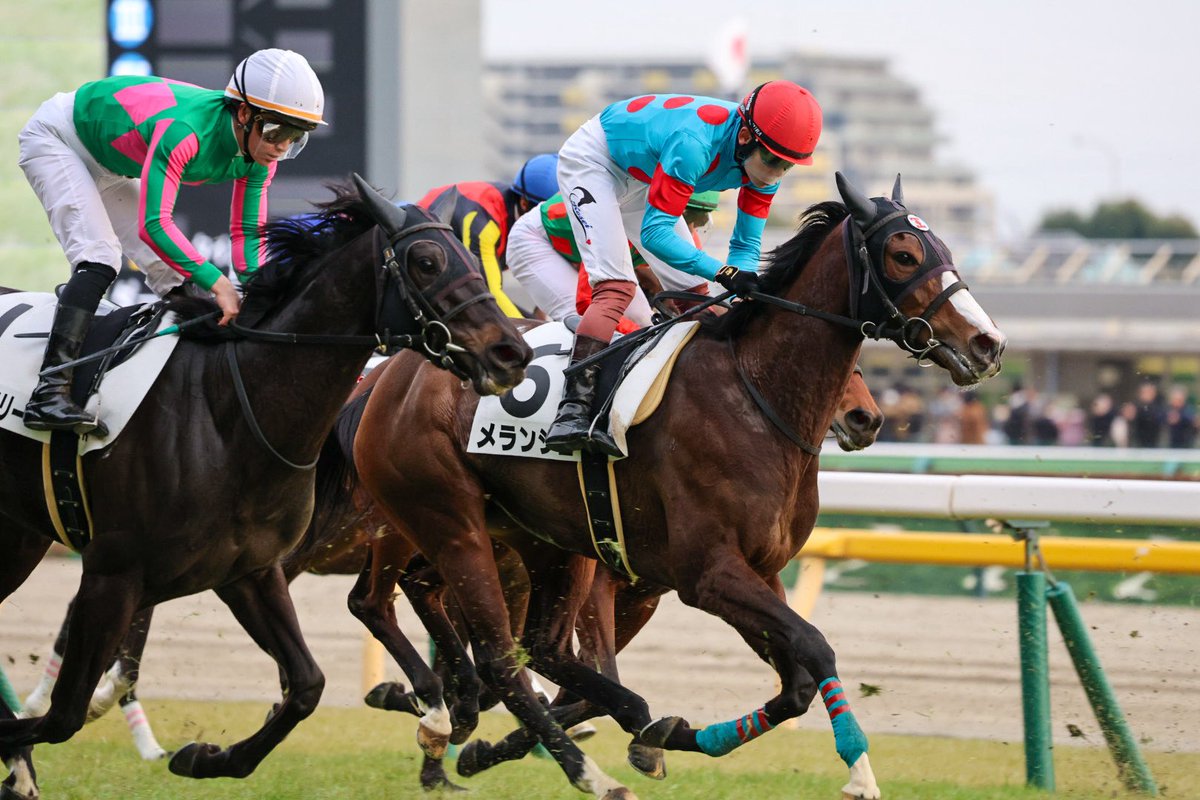 2026.02.14
東京12R 4歳以上1勝クラス

メランジェ×三浦皇成┊ 7着