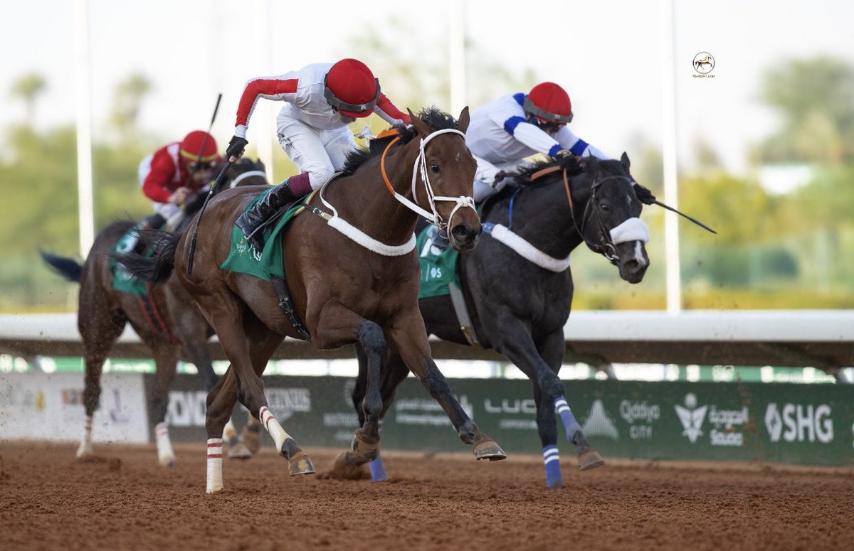 يُونس بنّ علي آل نمر🐎. tweet media