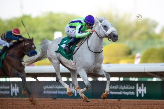 مباري الخيل tweet media