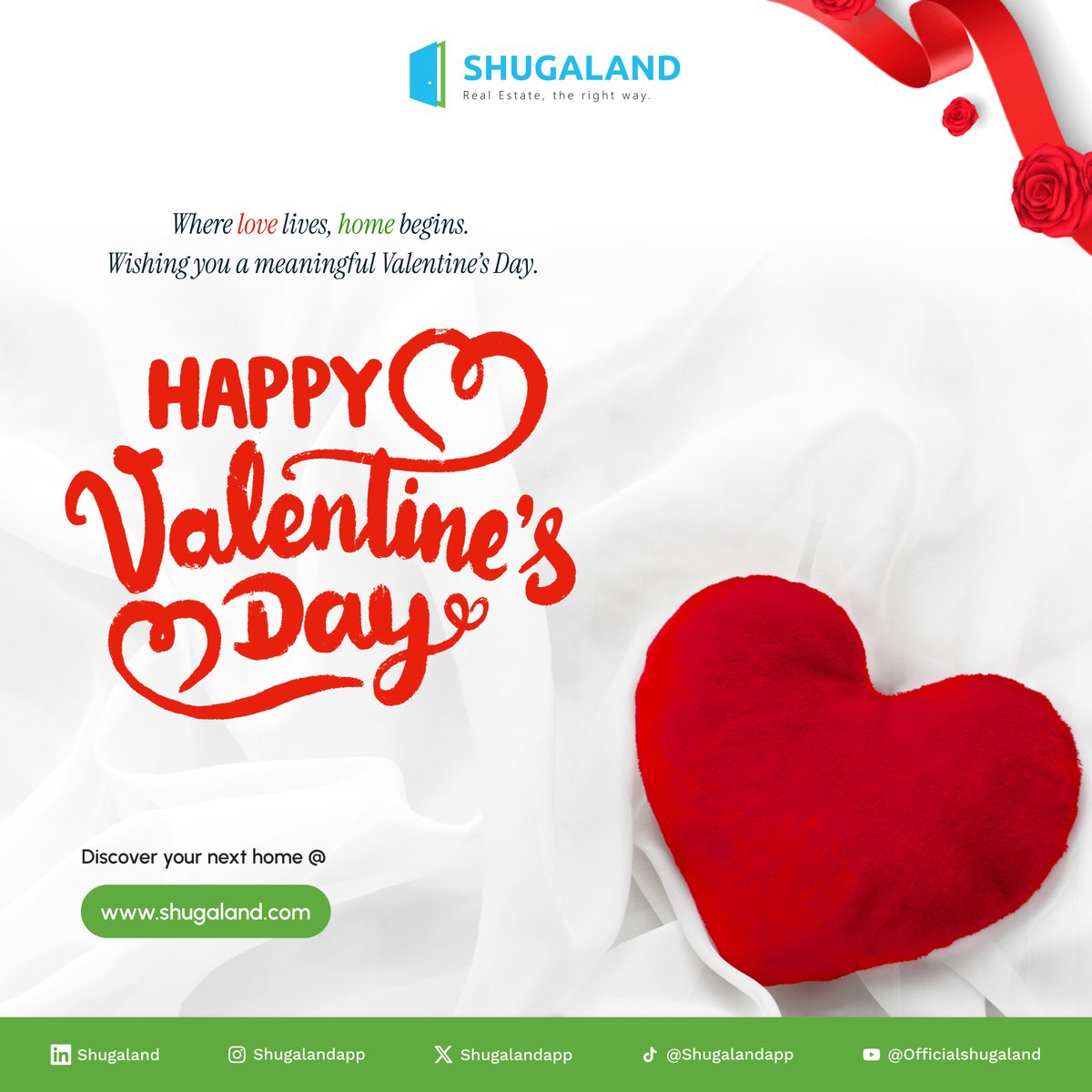 Shugaland tweet media