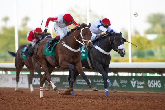 مباري الخيل tweet media