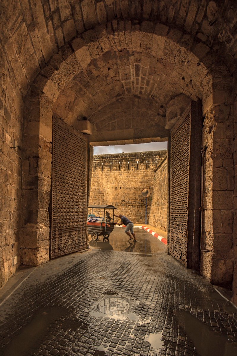 Shibley Telhami tweet media