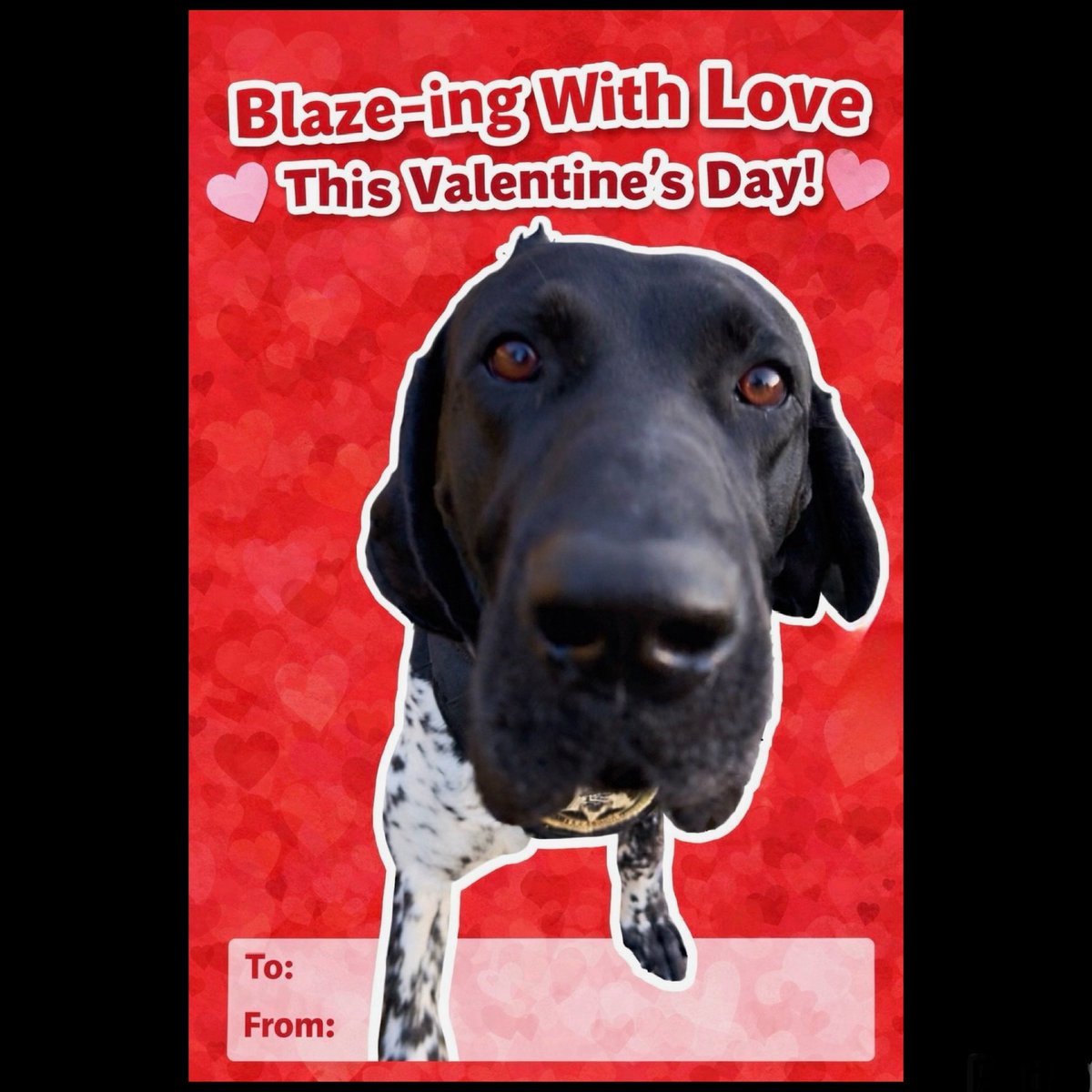 Wilson Co Sheriff tweet media