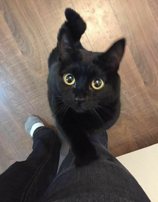 Emerald. tweet media