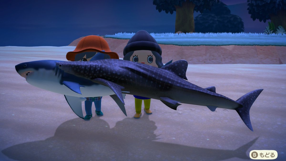 260210_n's tweet photo. 南半球の友達の島の釣果ヤバい、、！
背びれの魚影ばっかり‼︎ https://t.co/RbTU2PSn9W