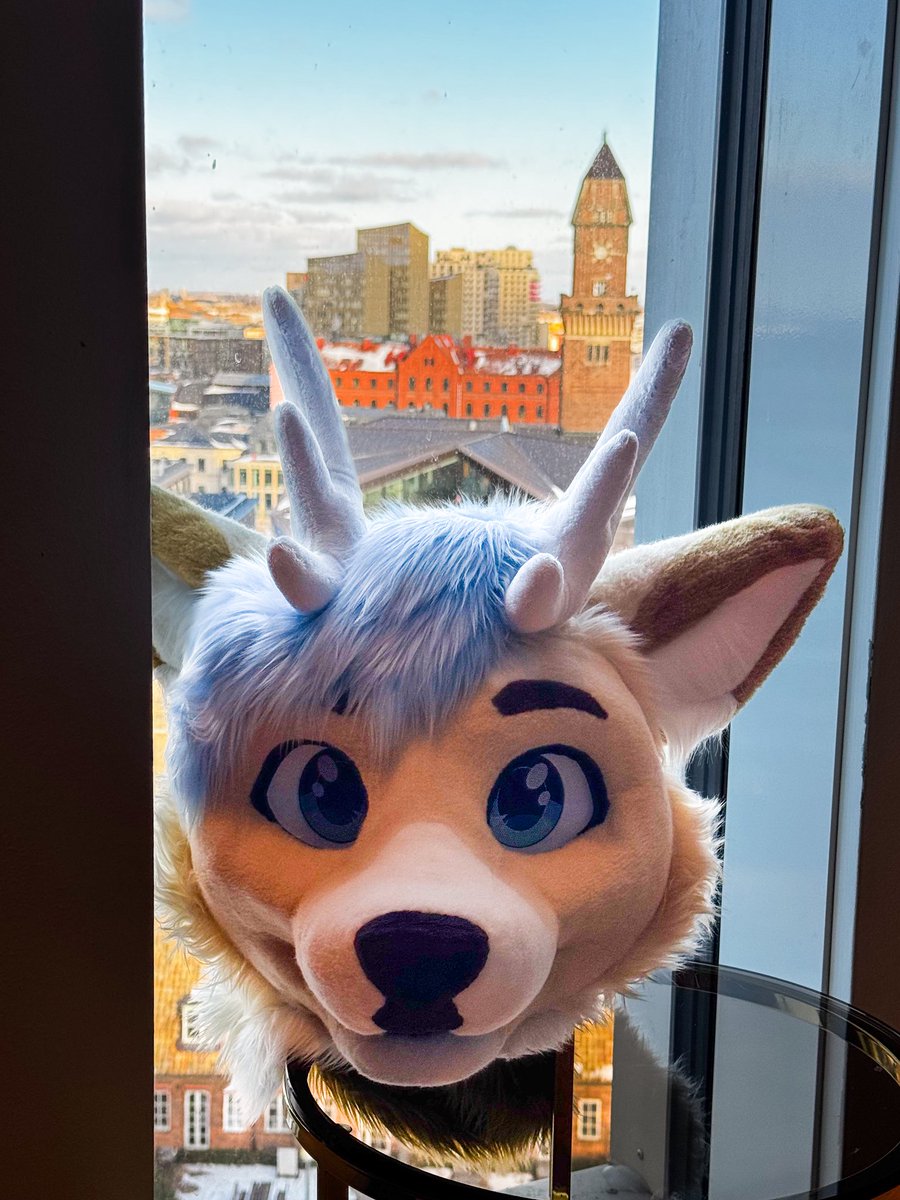 Wax Blauwyld tweet media