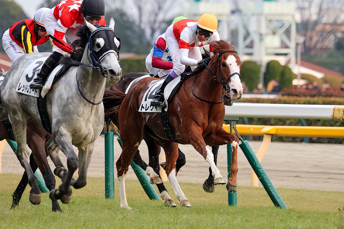 2026.02.14
東京12R 4歳以上1勝クラス

トレヴィ×武豊┊ 5着