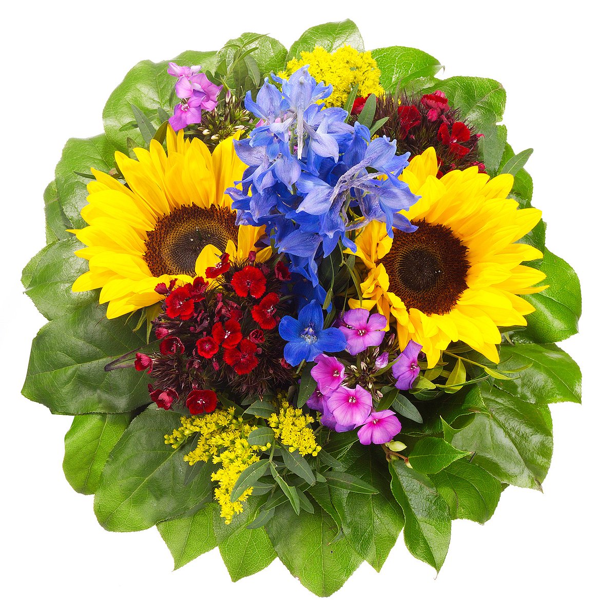 Allen"meinen" Damen und Mädels einen herzlichen Gruß zum Valentinstag!