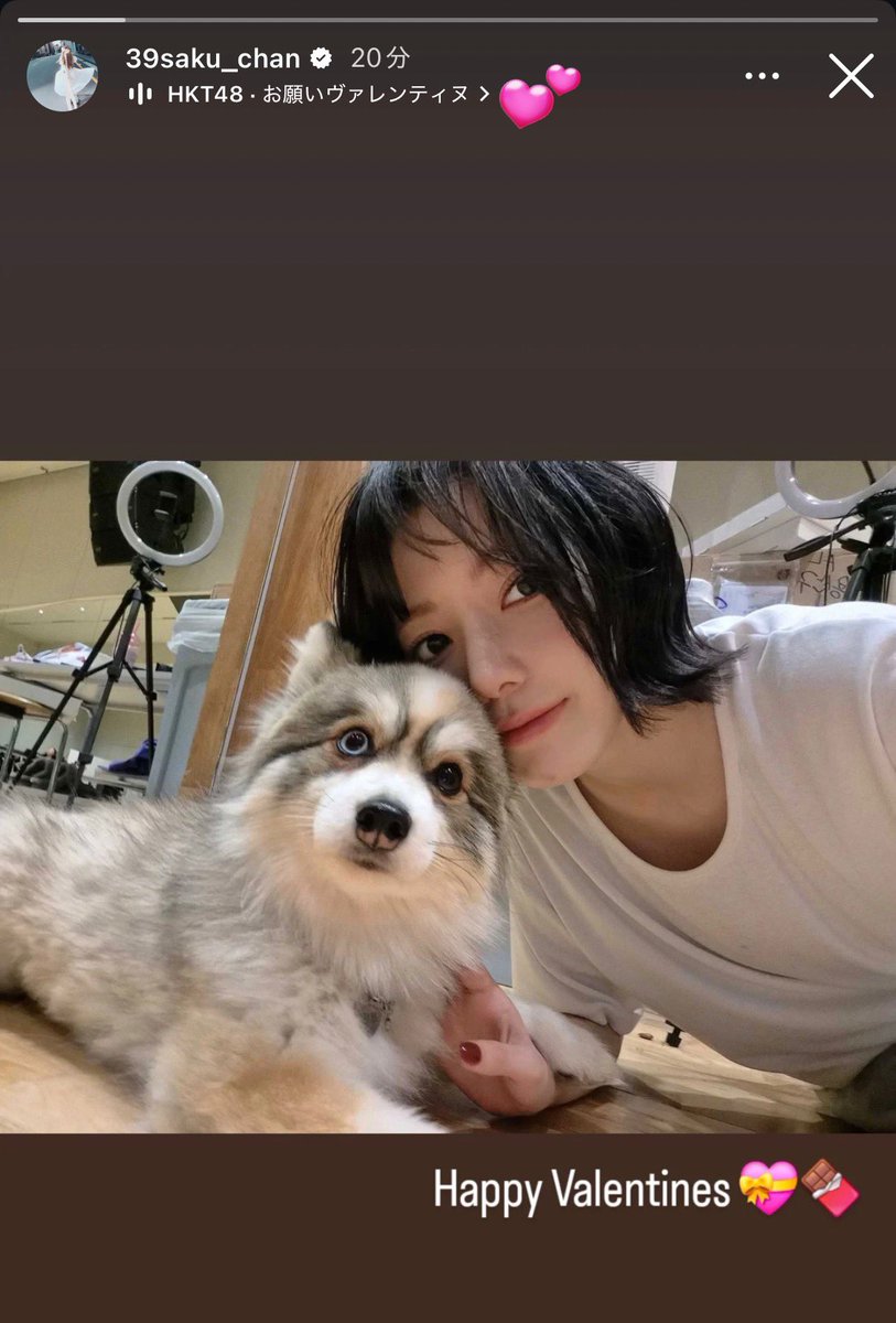 ちよ (@chi_twin7) / Posts / X