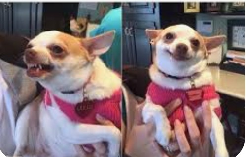 Los periodistas con La China Suárez vs Los periodistas con Luciano Castro 😂😂😂😂