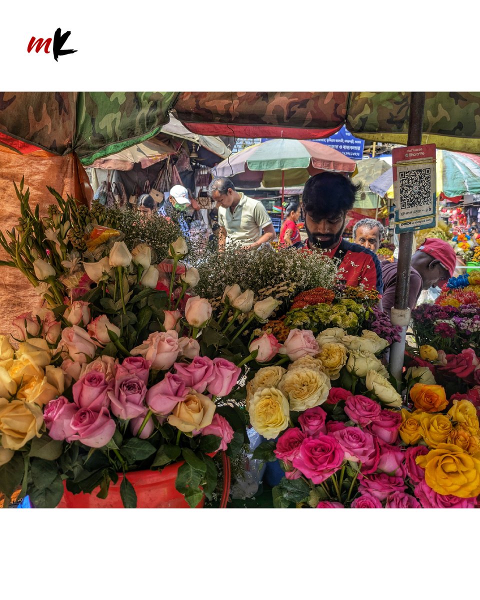 TT_My_Kolkata's tweet image. Roses cost more, boats turned romantic, and teddies flew off the shelves as Kolkata celebrated Valentine’s Day. Love was in the air across the city.

Read more: telegraphindia.com/my-kolkata/eve…

#ValentinesDay #VDay #Kolkata #MyKolkata
