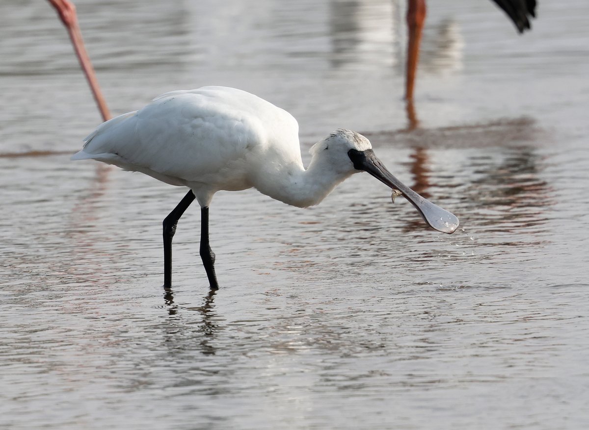 Nick Upton tweet media