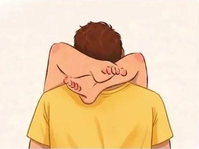 Splinter • سبلنتر tweet media