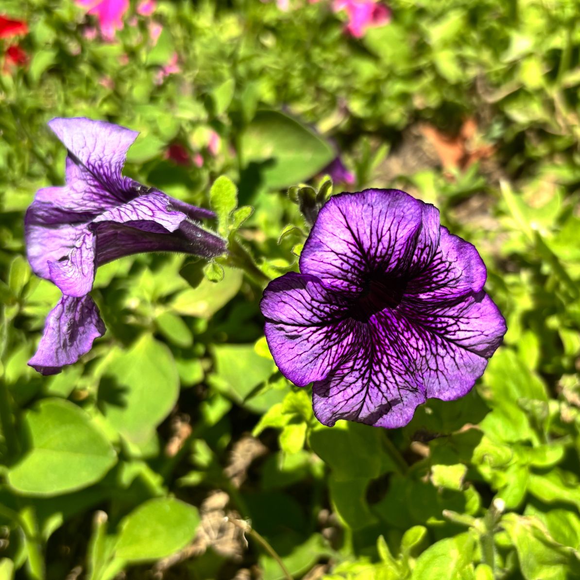 Galentine’s this year was escape rooms, froyo in the park and just sitting around talking about life.

Honestly? That’s the good stuff.