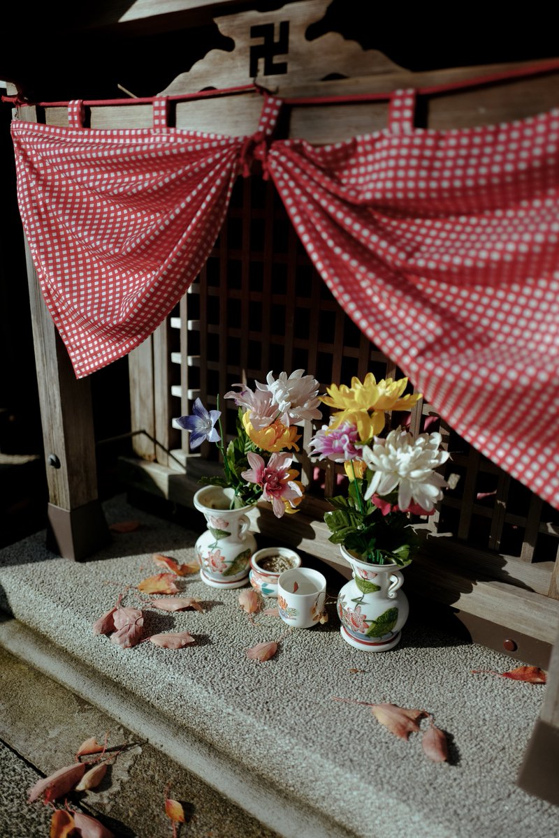 79mg_photo's tweet image. #PunctumPC