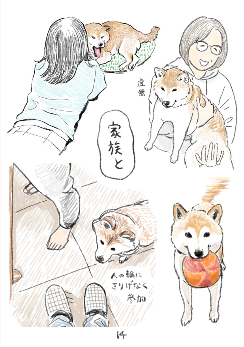 新刊の柴犬スケッチ本はこんな感じです!頒布物の統一感が全然ない😂 