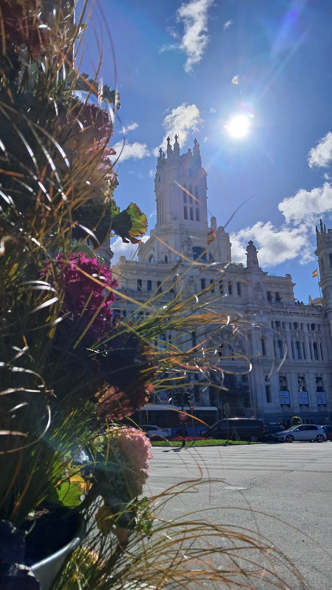 Bobin'St tweet media