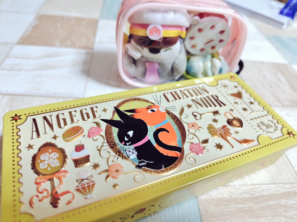 もっさんの変わりに食べたチョコ！