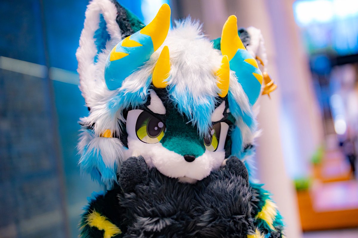 参考:
↓メガネイノア　　　　　裸眼イノア↓